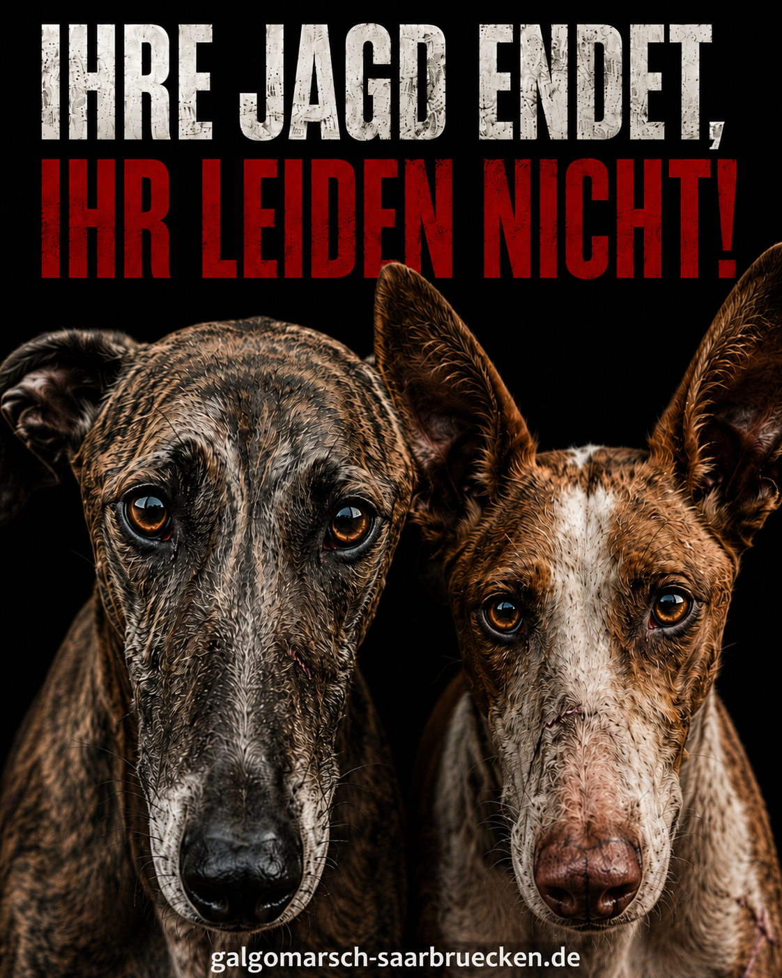 Tierschutz-Kampagne 2027